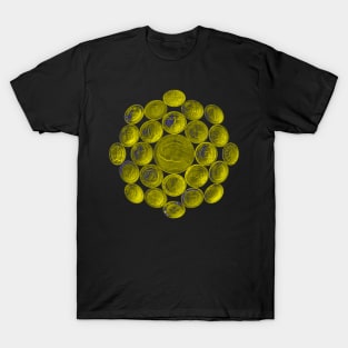 Yellow USA Twenty Dollars Coin - Surrounded by other Coins T-Shirt